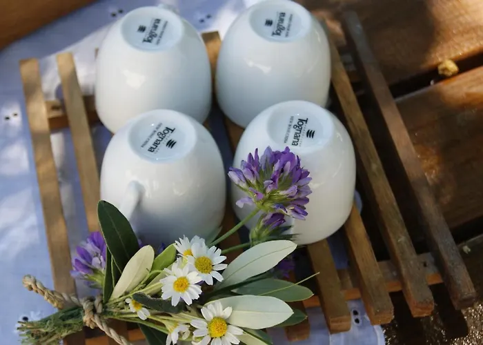 Alojamento de Acomodação e Pequeno-almoço Le Tre Querce Di Casa Mia 4*