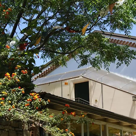 Le Tre Querce Di Casa Mia Castellabate