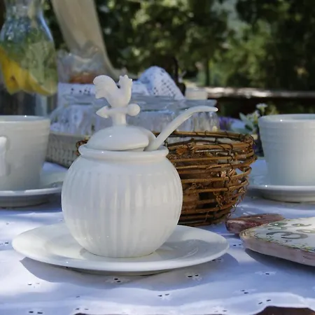 Le Tre Querce Di Casa Mia Bed & Breakfast Castellabate