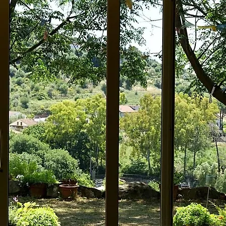 Le Tre Querce Di Casa Mia Panzió Castellabate